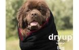 DRYUP Cape - BIG - Hundebademantel - schwarz