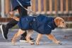 Non-Stop Dogwear Wintermantel Wool 2.0 Hund