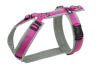 AnnyX-Geschirr-Fun-grau-pink