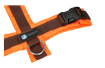 AnnyX-Geschirr-Protect-leuchtorange-braun-verschluss