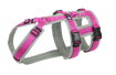 AnnyX-Geschirr-Safety-Fun-grau-pink