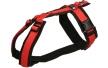 AnnyX-Geschirr-Fun-schwarz-rot