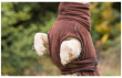 DRYUP Cape - Hundebademantel - braun - DRYUP-Bademantel-brown-downside