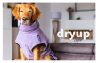 DRYUP Cape - Hundebademantel - lavendel - DRYUP-Bademantel-lavendel-sitzend