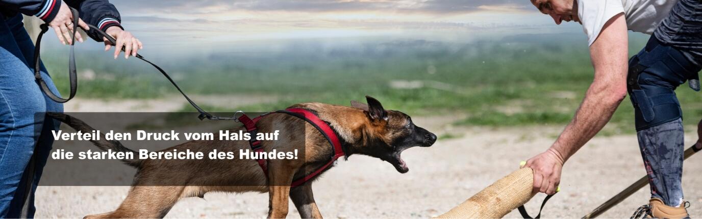 Hundegeschirre verteilen den Druck vom Hals auf stärkere Bereiche des Körpers