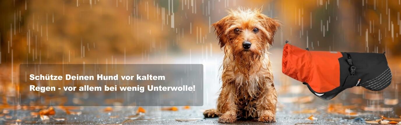 Hunde-Regenmäntel schützen von Krankheit und halten Auto und Wohnung sauber