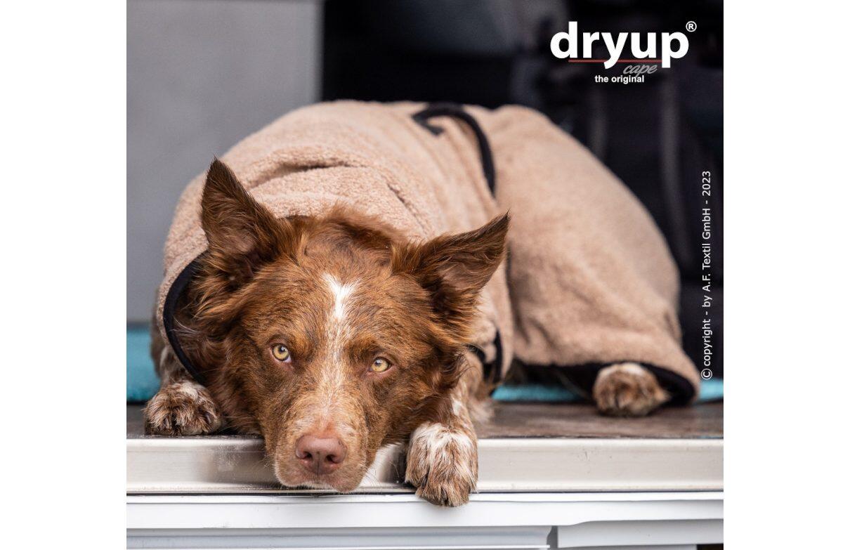DRYUP Cape -Hundebademantel - coffee - NEUE FARBE - DRYUP-Bademantel-coffee