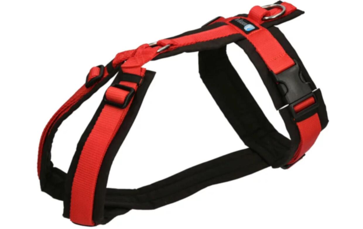 AnnyX-Geschirr-Fun-schwarz-rot
