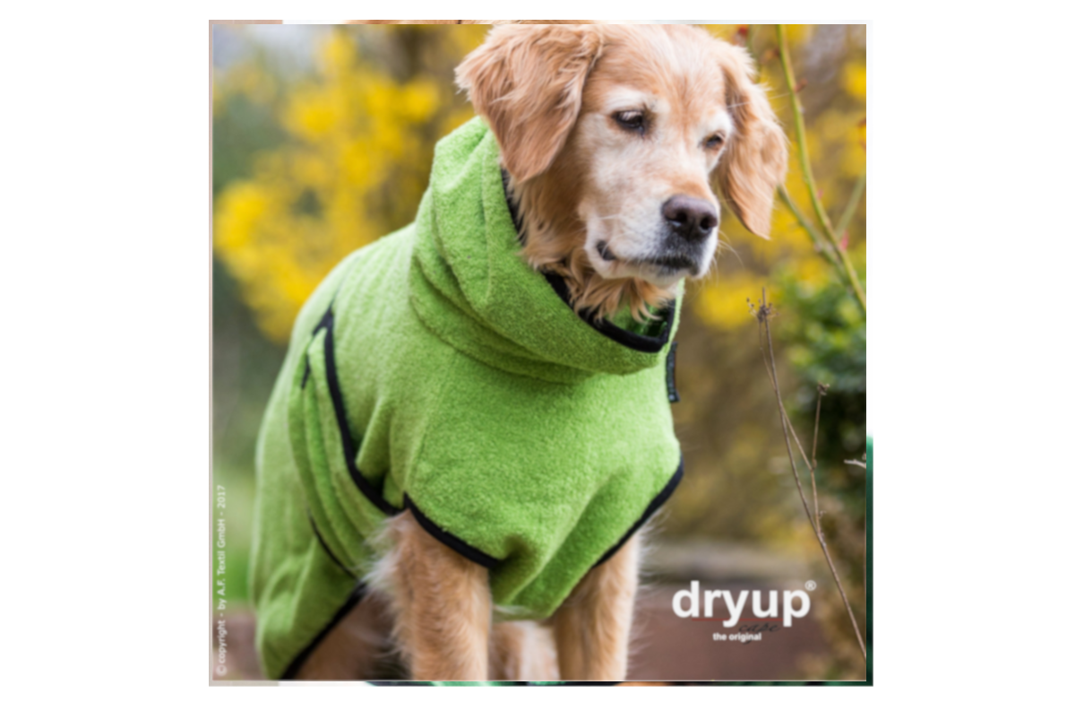 DRYUP Cape - Hundebademantel - kiwi - DRYUP-Bademantel-kiwi-stehend