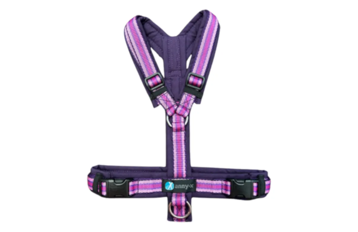 AnnyX Geschirr FUN Wildflieder LIMITED EDITION - AnnyX_Geschirr_Fun_Wildflieder