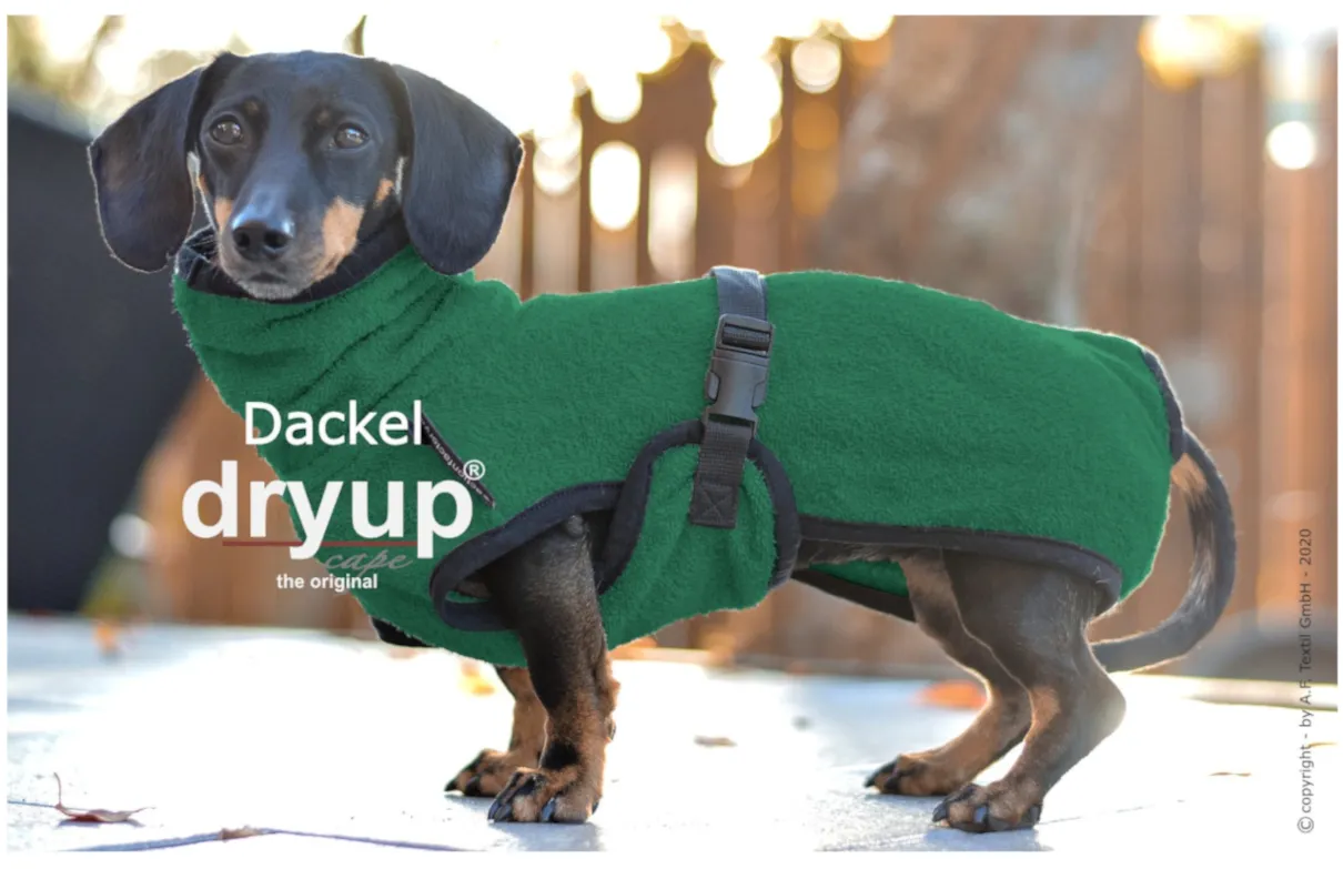 DRYUP Cape - Dackel - Hundebademantel - grün - DRYUP-Bademantel-Dackel-gruen