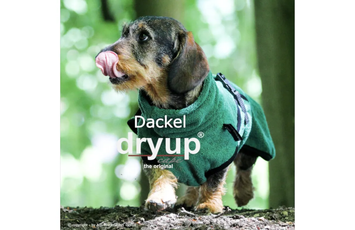 DRYUP Cape - Dackel - Hundebademantel - grün - DRYUP-Bademantel-DACKEL-gruen