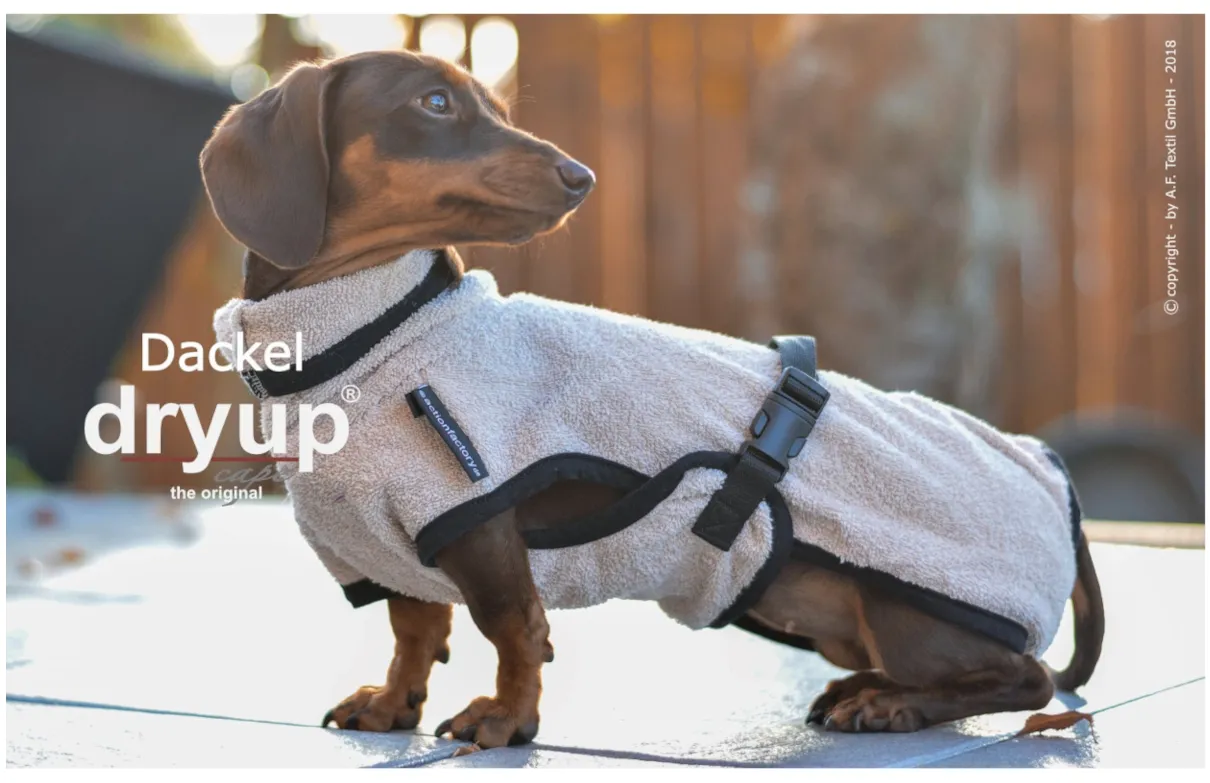 DRYUP Cape - Dackel - Hundebademantel - sand - DRYUP-Bademantel-Dackel-sand