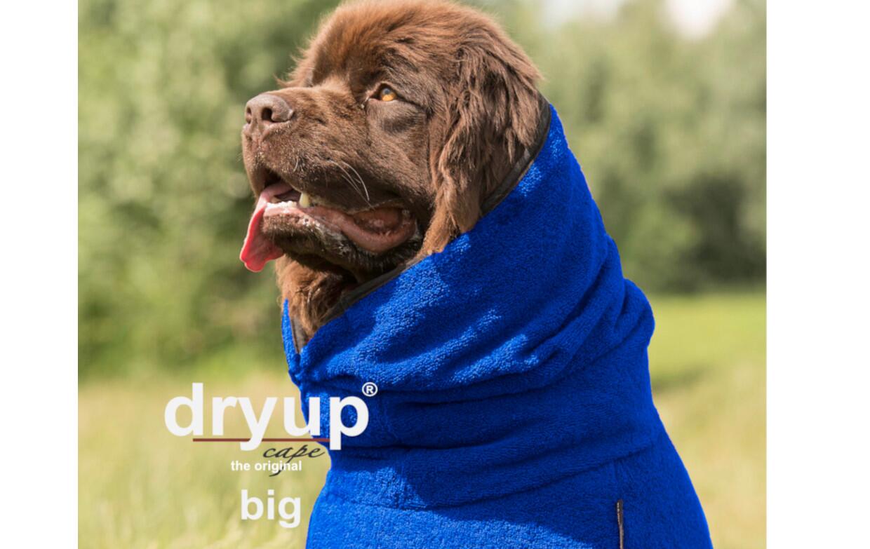 DRYUP Cape - BIG - Hundebademantel - blueberry - DRYUP-Bademantel-BIG-blueberry