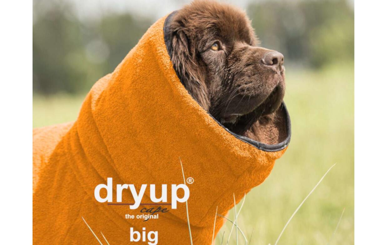 DRYUP Cape - BIG - Hundebademantel - clementine - DRYUP-Bademantel-BIG-Clementine
