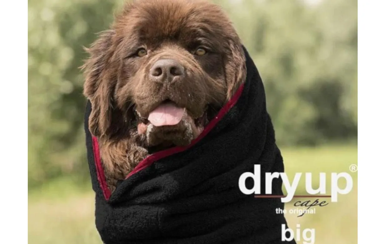 DRYUP Cape - BIG - Hundebademantel - schwarz - DRYUP-Bademantel-BIG-schwarz