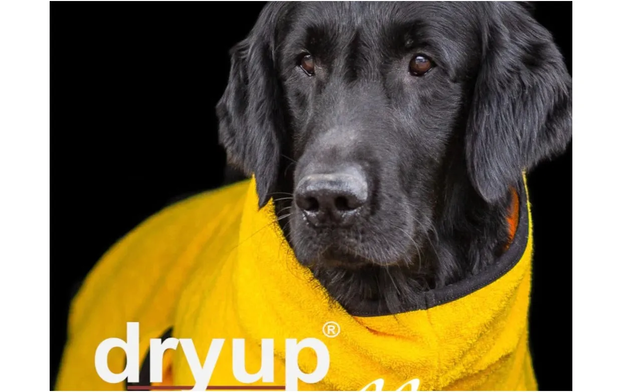 DRYUP Cape - Hundebademantel - yellow - DRYUP-Bademantel-yellow