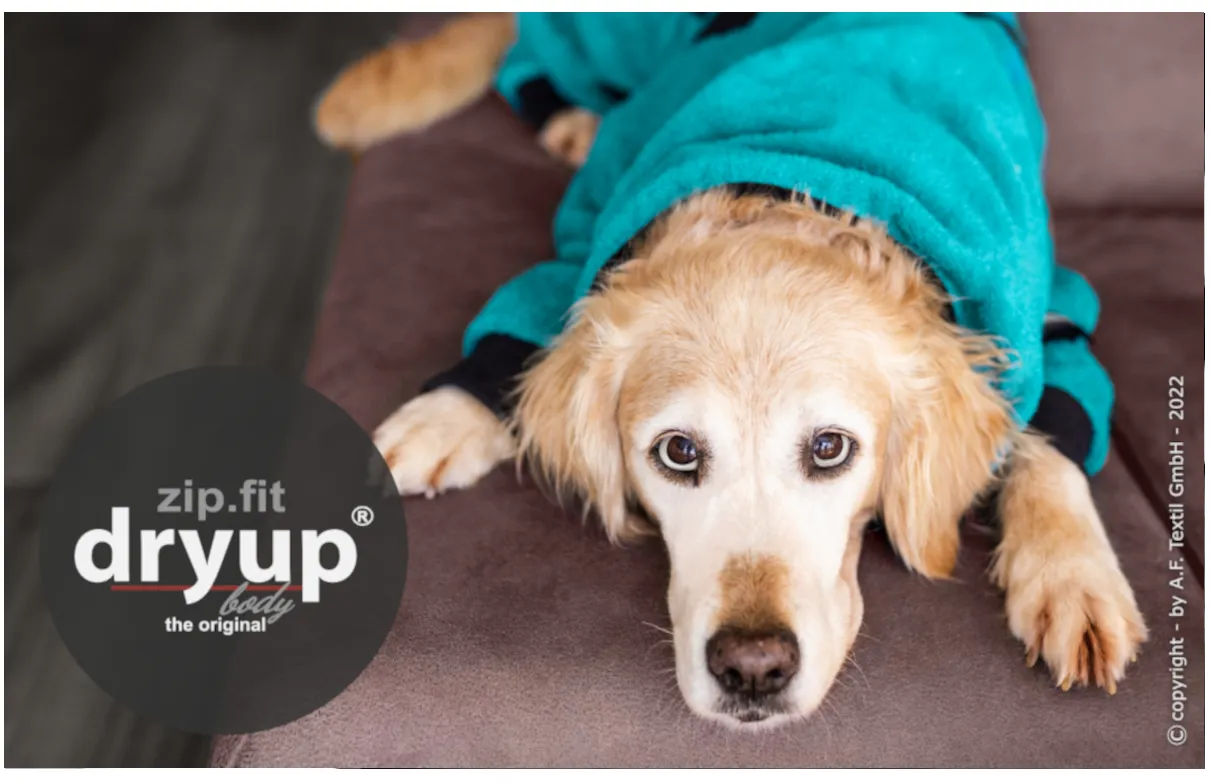 DRYUP BODY zipfit Hundebademantel mit Beinen - PETROL - DRYUP-BODY-zip.fit-liegend-petrol