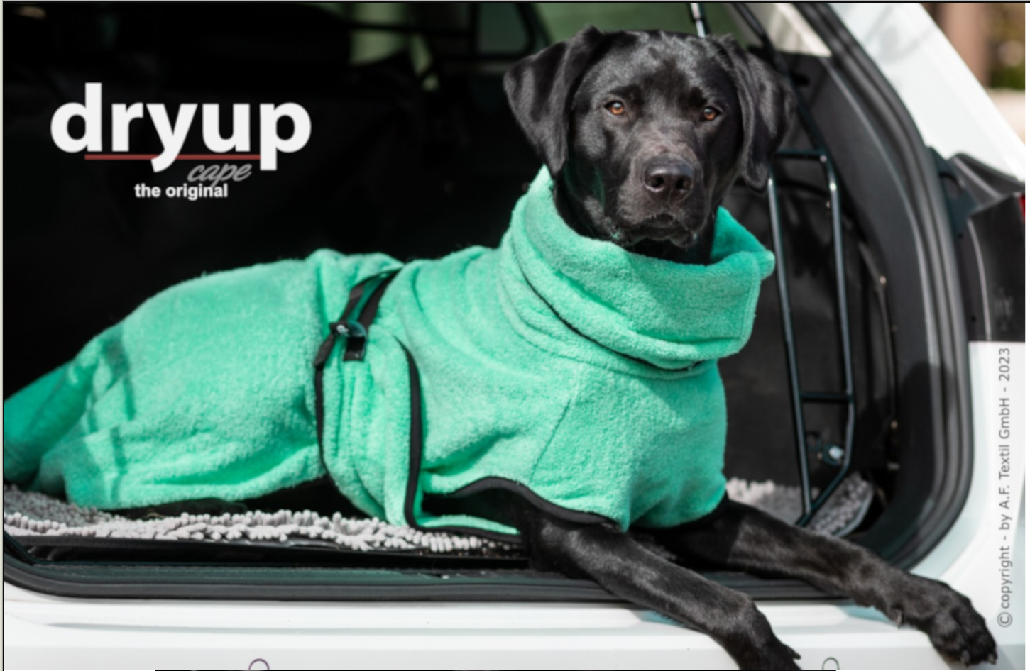 DRYUP Cape - Hundebademantel - mint