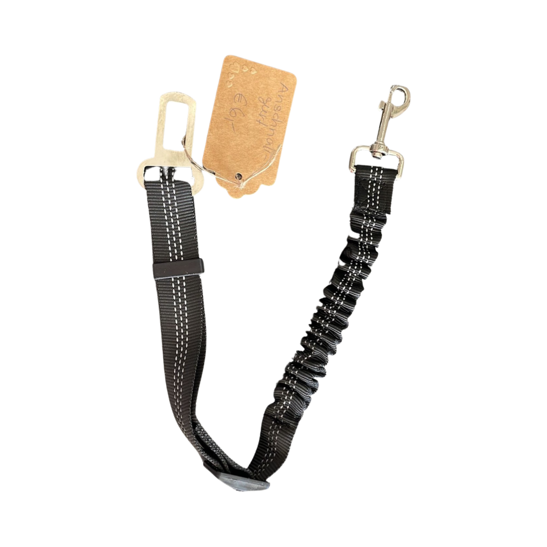 Anschnallgurt für Hunde im Wohnmobil oder Auto