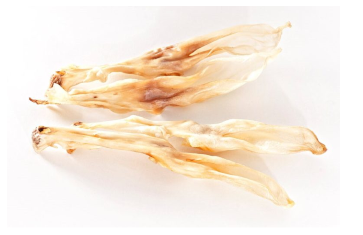 Kaninchenohren_ohne_Fell