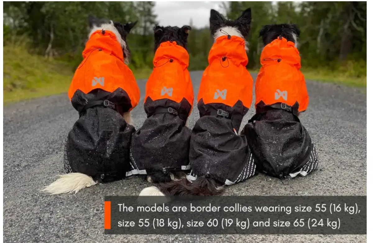 Non-stop Dogwear Regenmantel FJORD, grün-grau - Non-Stop-Dogwear-Regenmantel-Groeßenbeispiel