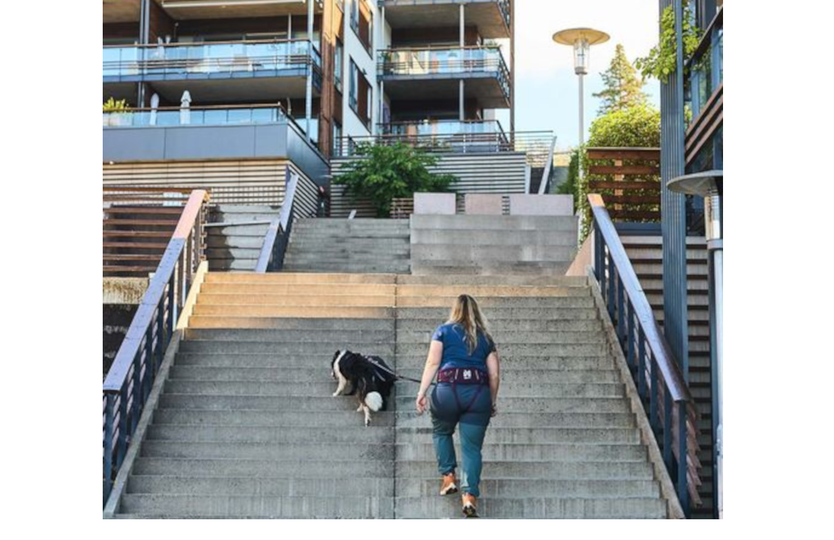 Non-Stop-Dogwear-trekking-guertel1