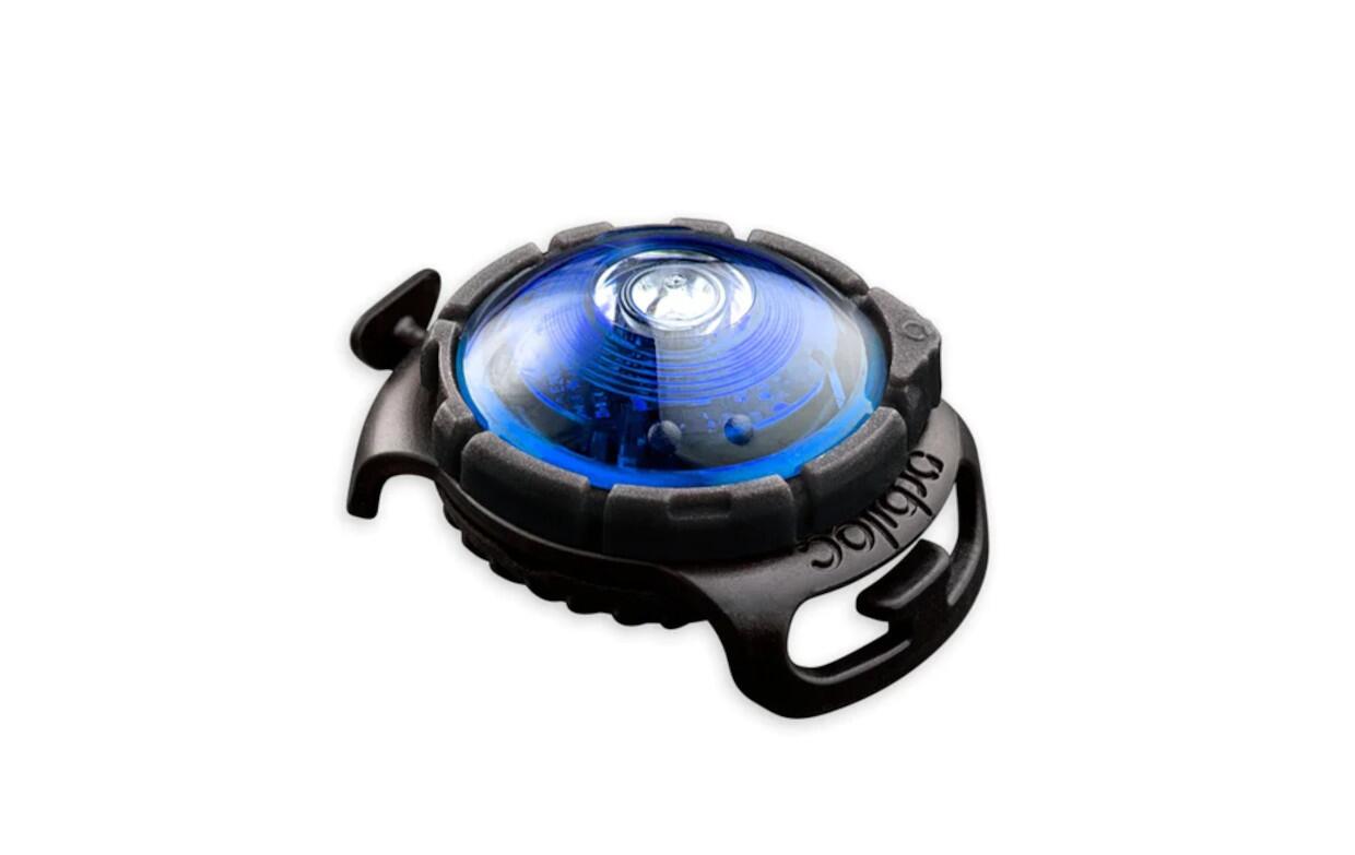 Orbiloc -  Dog DualTM_Leuchte fürs Halsband und Geschirr - ORBILOC-Licht-blau