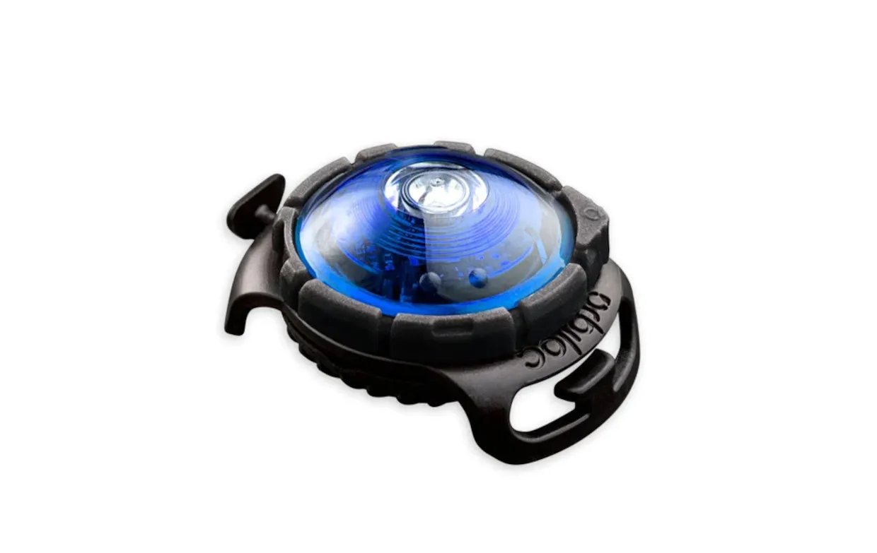 Orbiloc - Dog DualTM_Leuchte fürs Halsband und Geschirr - ORBILOC-Licht-blau