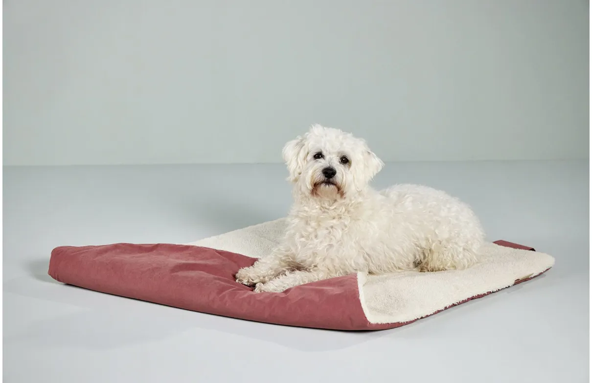 Wolters Hunde Reisedecke VAGABUND, verschiedene Farben - Wolters_Reisedecke_Vagabund_rostrot