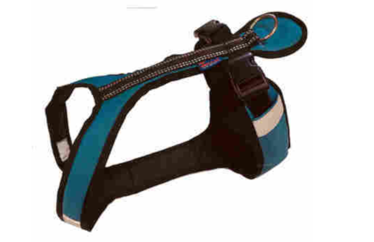 Zero DC-Zuggeschirr-petrol-schwarz