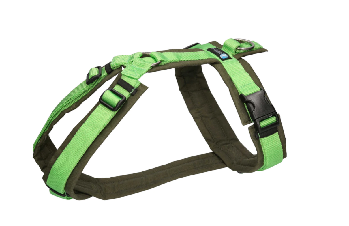 AnnyX-Geschirr-Fun-oliv-hellgrün