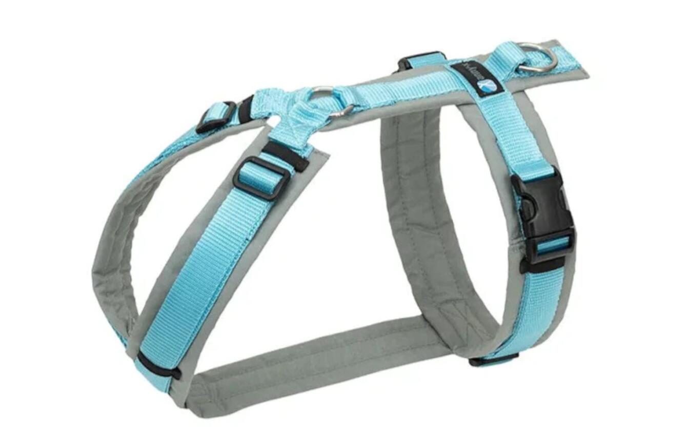 AnnyX-Geschirr-Fun-grau-eisblau