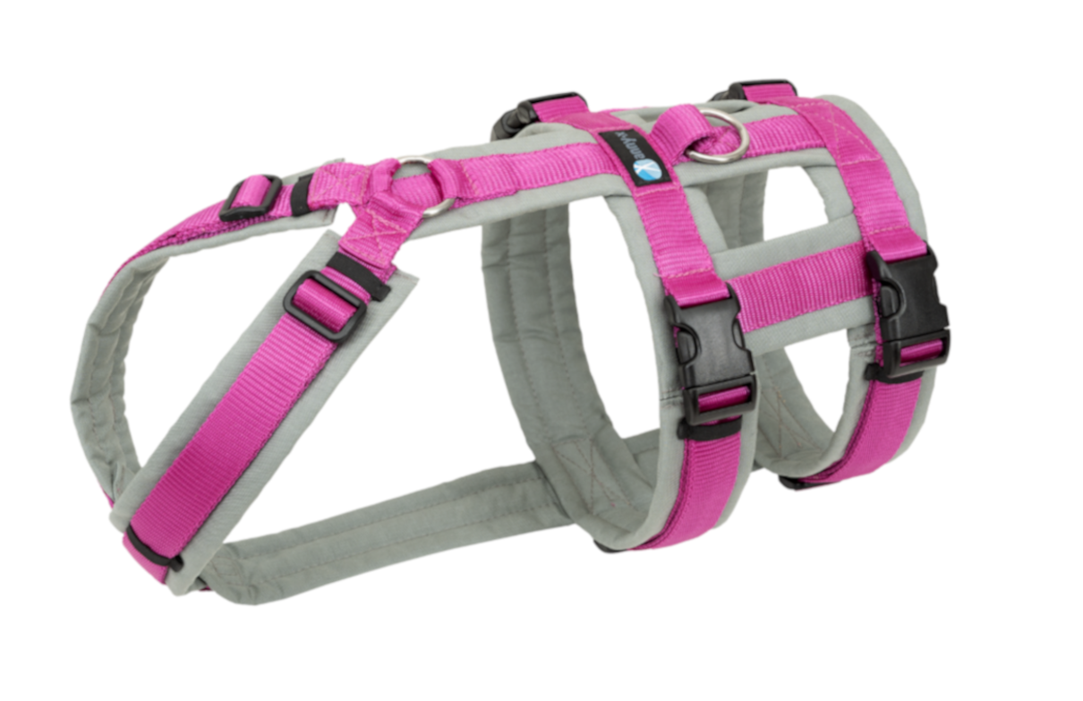 AnnyX-Geschirr-Safety-Fun-grau-pink