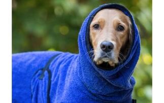 DRYUP Cape - Hundebademantel - blueberry