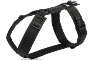 AnnyX Geschirr FUN schwarz/schwarz