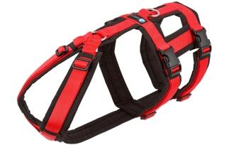 AnnyX-Geschirr-Safety-Fun-schwarz-rot