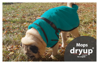 DRYUP Cape - Mops - Hundebademantel - petrol