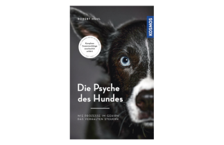 Die Psyche des Hundes