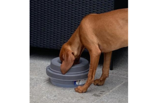 Tilty Bowl auslaufsicherer Wassernapf Gr. M - 0,6 Liter