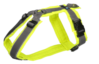 AnnyX Geschirr PROTECT leuchtgelb/grau