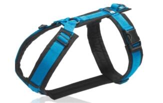 AnnyX Geschirr FUN schwarz/blau