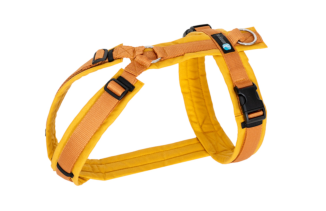 AnnyX Geschirr FUN Goldglöckchen