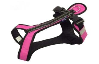 Zero DC-Zuggeschirr-rosa-schwarz