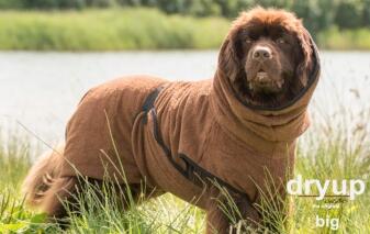 DRYUP Cape - BIG - Hundebademantel - braun