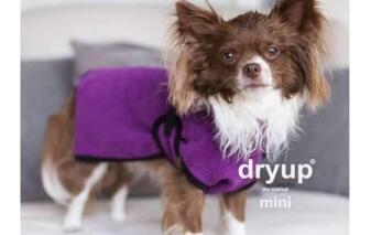 DRYUP Cape - MINI - Hundebademantel - bilberry