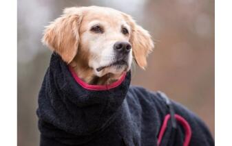 DRYUP Cape - Hundebademantel - schwarz