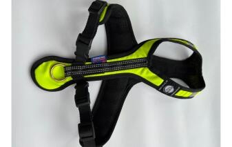 Zero DC Zuggeschirr Short neongrün/schwarz