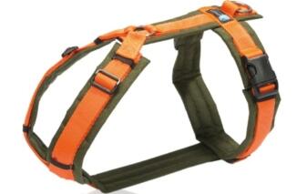 AnnyX Geschirr FUN oliv/orange