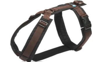 AnnyX Geschirr FUN schwarz/braun